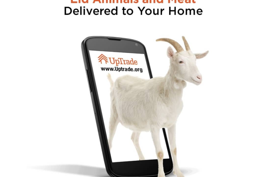 106926545_295705141611680_5768283747687949283_n