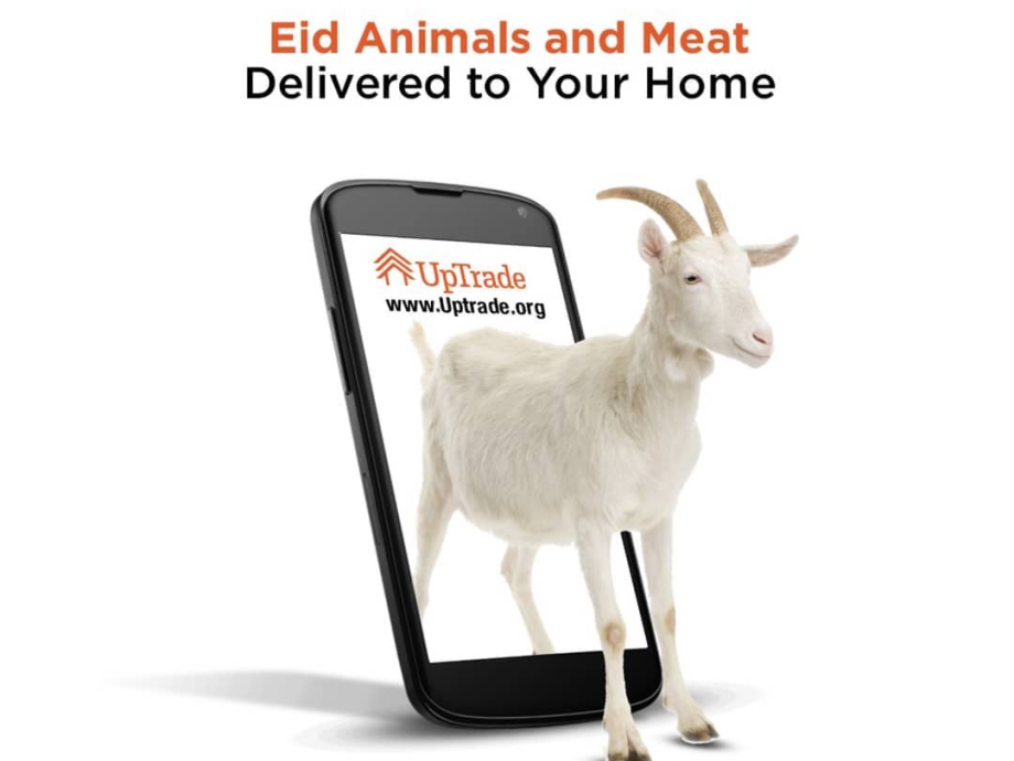 106926545_295705141611680_5768283747687949283_n