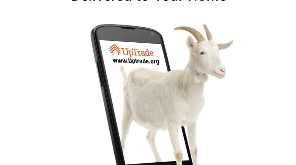 106926545_295705141611680_5768283747687949283_n