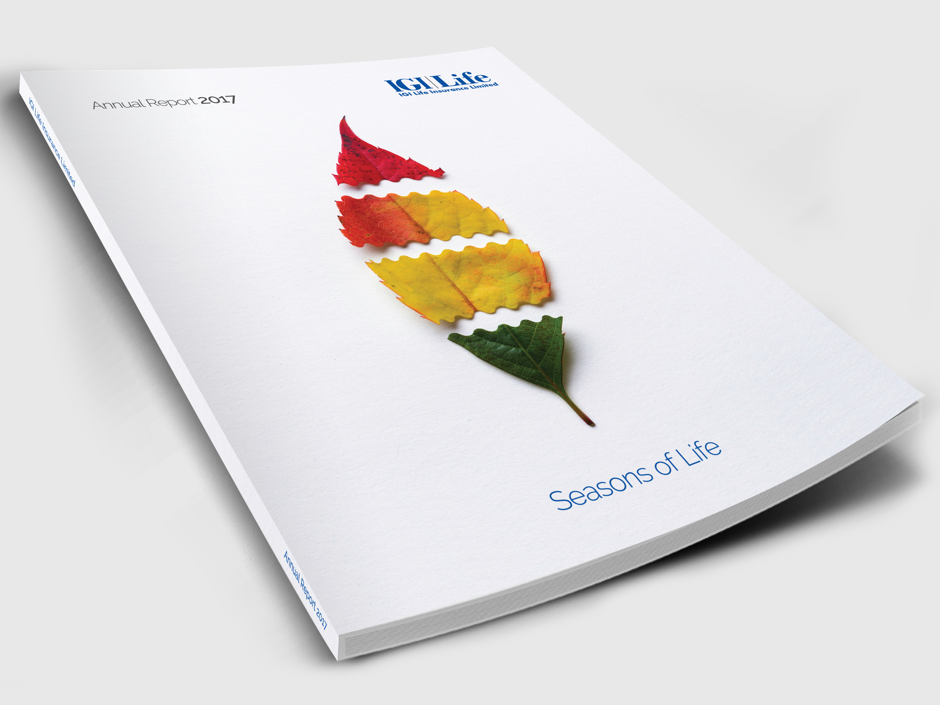 Annual Reports 3